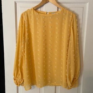 Ophelia Roe Yellow textured chiffon Blouse Top